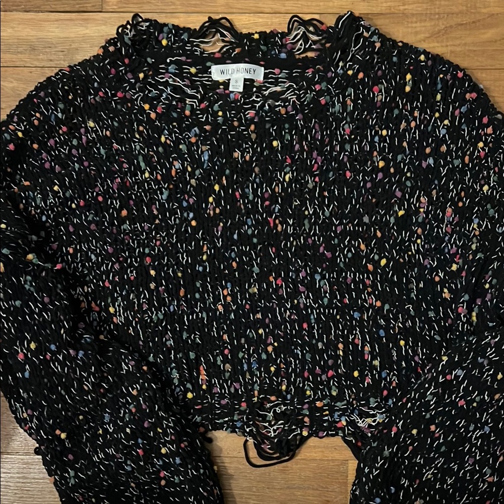 Wild Honey Multicolor Distressed Knit Cropped Sweater